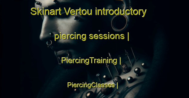 Skinart Vertou introductory piercing sessions | PiercingTraining | PiercingClasses | SkinartTraining-France